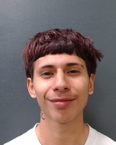 LUNA, MICHAEL AVERY booking photo