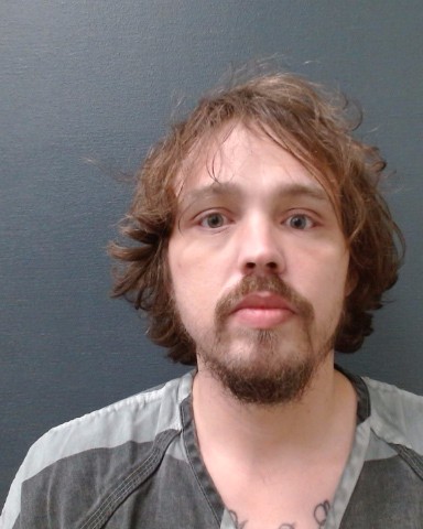 DORFMEISTER, ERIC BASIL booking photo