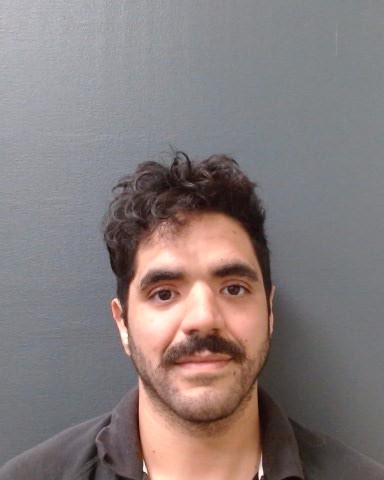 MADIANE, BRANDON AHMED booking photo