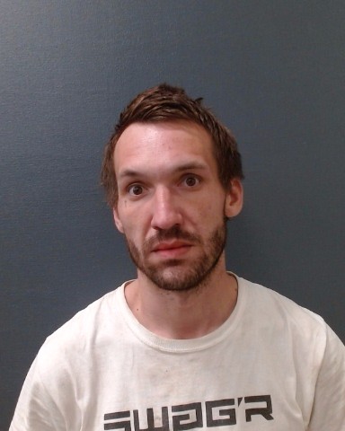 SCHOLL, TREVOR ATWELL booking photo