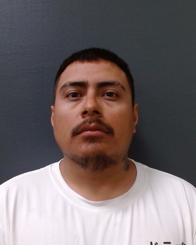 SANCHEZ-VAZQUEZ, JOSE OSVALDO booking photo