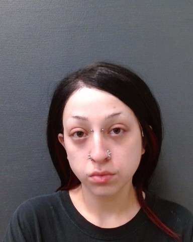 ZAHN, LILLIAN EVE booking photo