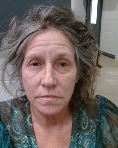 SCHUBERT, CYNTHIA ANN booking photo