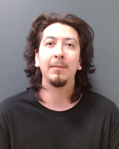 MENDOZA, HORACIO booking photo