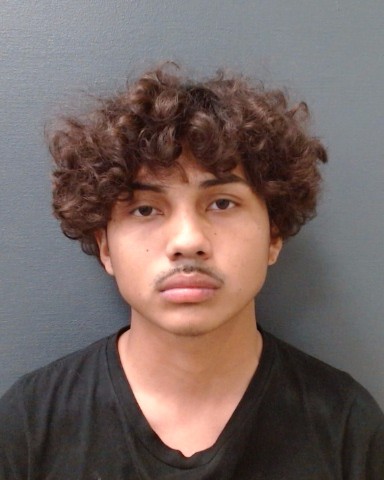 MAYORGA MARTINEZ, YOHAN FERNANDO booking photo