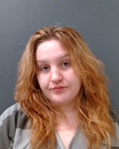 SANDERFORD, LORI ANNE booking photo