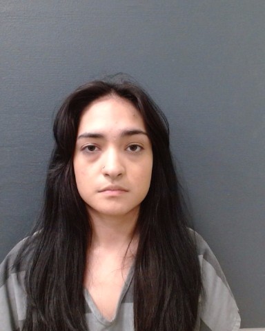 GONZALES, GABRIELA ALMA booking photo