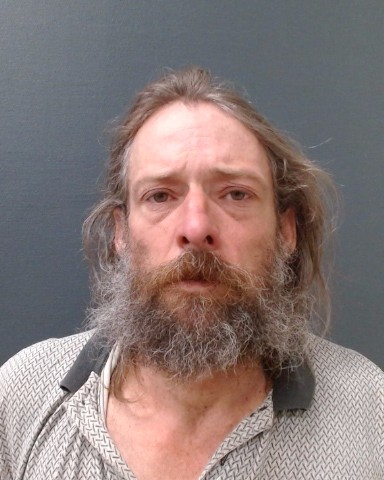 BROWN, DANIEL PAUL booking photo