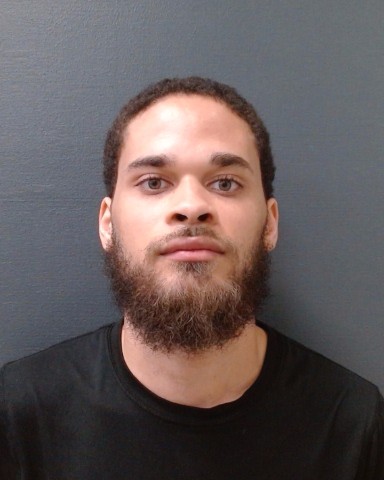 LEWIS, SHANNON, Jr. booking photo