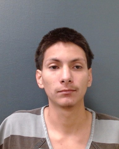 MEDINA, PARIS TRISTAN booking photo