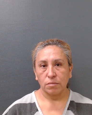 VAZQUEZ-ACOSTA, HERMINIA booking photo
