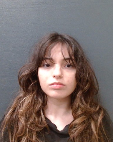 NUNEZ, NICOLE GABRIELA booking photo