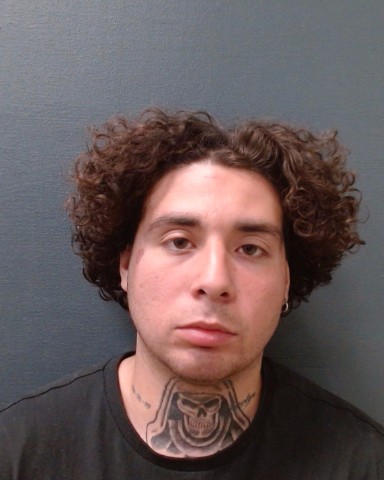 MORGAN, CODY ELIZIE KREI booking photo