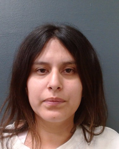 MARTINEZ, ROSA ANGELICA booking photo