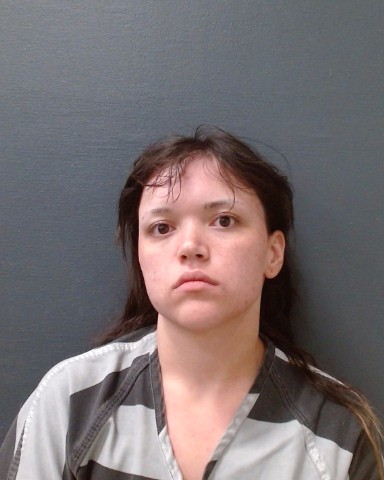ALLEN-WOODS, SARAH booking photo