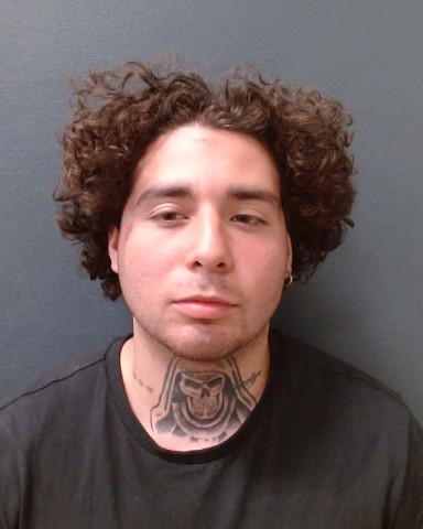 MORGAN, CODY ELIZIE KREI booking photo