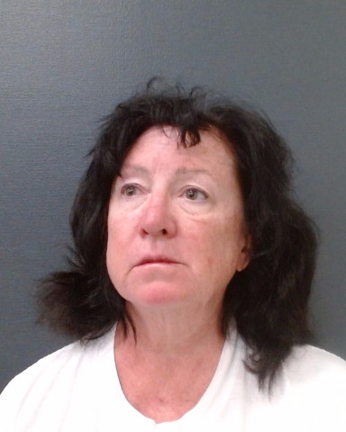 MORGAN, AMANDA SHREEVE booking photo