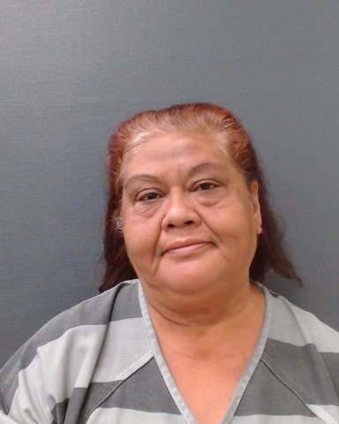 LOPEZ, CAROLINA E booking photo