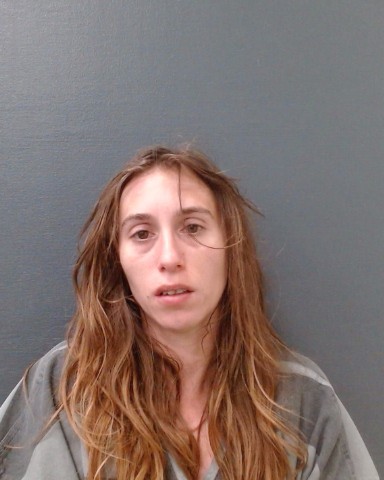 CAMPO, ANNA ELIZABETH booking photo