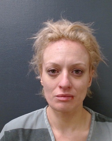 LEWIS, BRIDGETTE CLARE booking photo