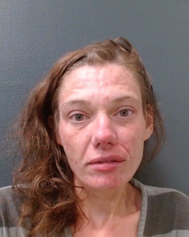 BADLAM, MELLISA ANNE booking photo