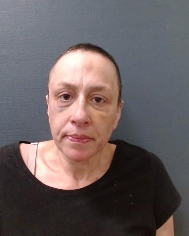 PERKINS, STEPHANIE booking photo