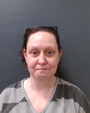 CODY, MICHELE ANNETTE booking photo