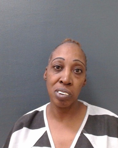 CHARLES, MICHELLE ANNETTE booking photo