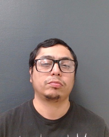 CASTILLO, ROBERT, Jr. booking photo