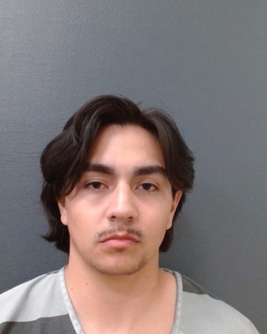 LUCAS, CAMERON PATRICK booking photo