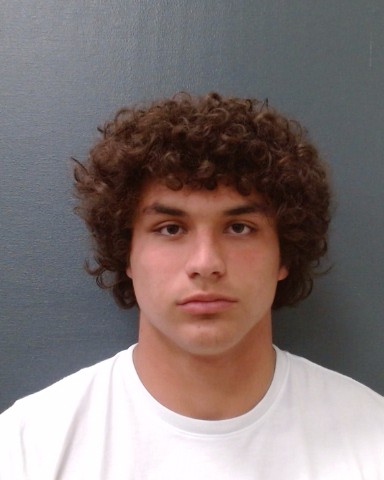 WOODS, HUDSON HEATH booking photo