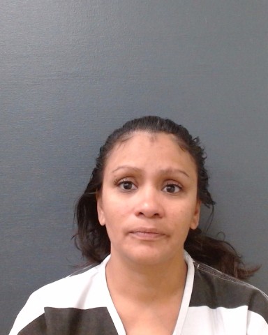 DEIR, ANDREA booking photo