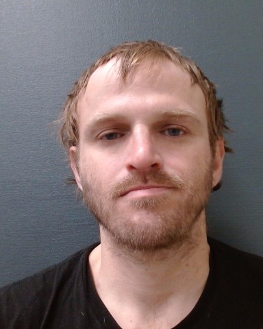 WIENER, WELDON KELLY booking photo