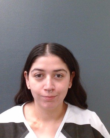 LERMA, JAZZMINE NICOLE booking photo