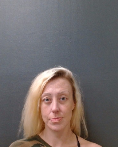 ROBINSON, JENNIFER LEE booking photo