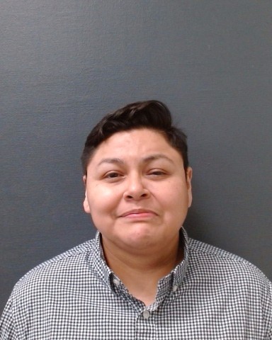 LOPEZ, LAURA ELIZABETH booking photo