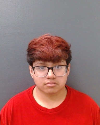 PEREZ, JULIAN ARMANDO booking photo