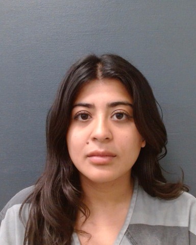 SANDOVAL, DAISY booking photo
