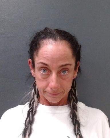 WILLETTE, WENDY MARIE booking photo