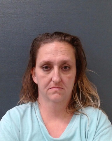 HOPKINS, SHEENA NICOLE booking photo