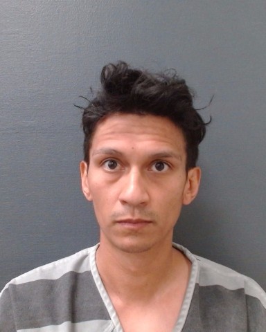 SANCHEZ, MICHAEL EDWARD booking photo