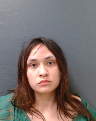 ORTIZ, MCKENA LEIGH booking photo
