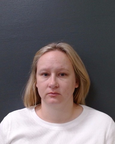 ANDERSON, EMILY MARIE booking photo