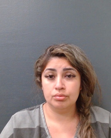 HERNANDEZ, CINDY booking photo