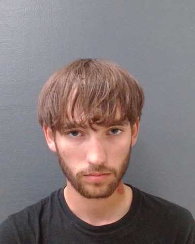 PAULY, MICKELL JORDAN booking photo