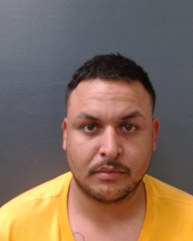 MENDOZA-SALAS, RAMIRO booking photo