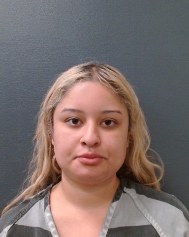 HERNANDEZ, MICHELLE ROSE booking photo