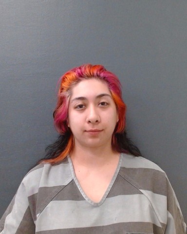 LOPEZ, ALYSSA ROSE booking photo