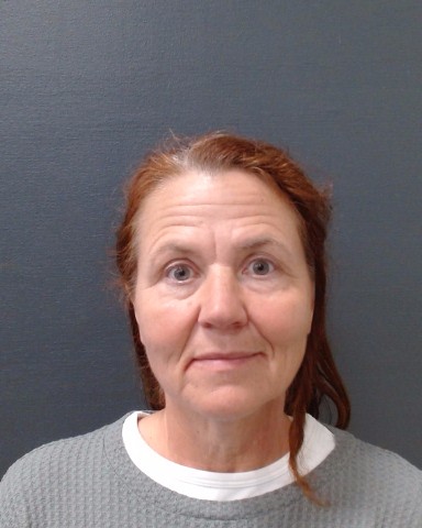 ALLISON, MELISSA JEAN booking photo