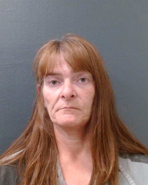 HENDRICK, JENNY LEE booking photo